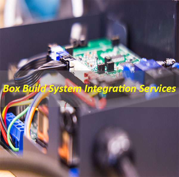 Box Build System Integration Services